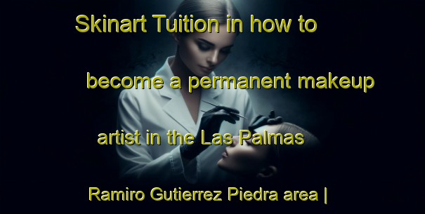 Skinart Tuition in how to become a permanent makeup artist in the Las Palmas  Ramiro Gutierrez Piedra area | PermanentmakeupTraining | PermanentmakeupClasses | SkinartTraining-Mexico